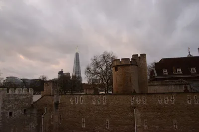 DSC_5669 (Large).JPG